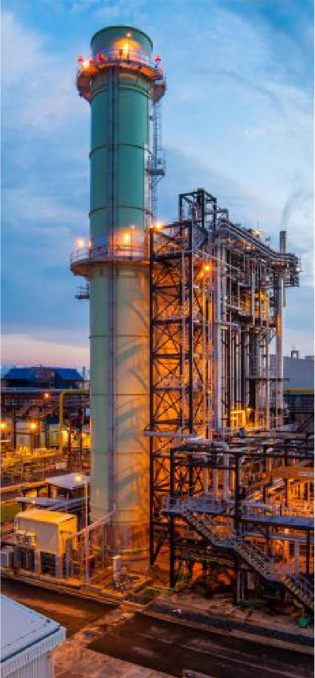 พลังงานชีวมวล (Biomass Energy)